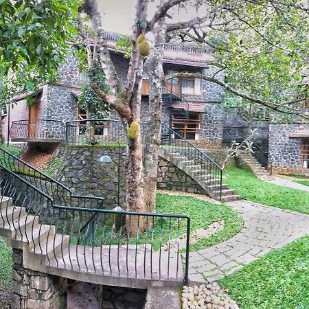 テッカディ Wildernest Bed & Breakfast エクステリア 写真