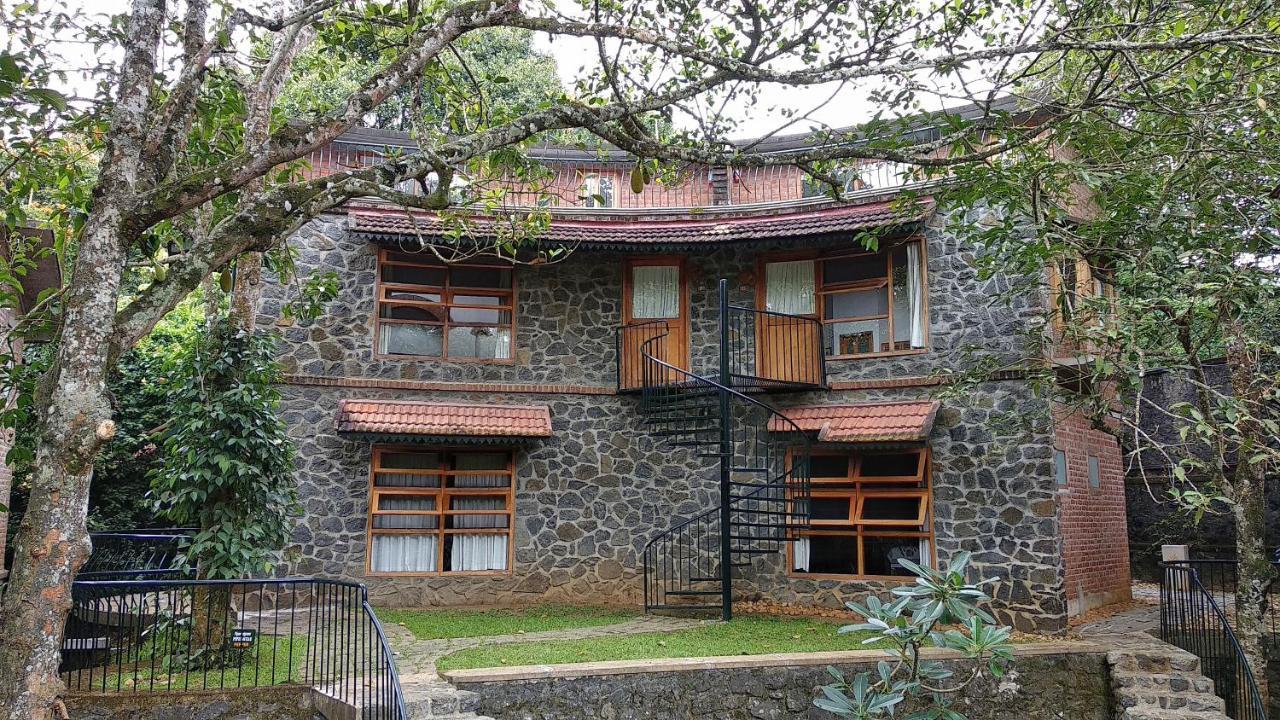 テッカディ Wildernest Bed & Breakfast エクステリア 写真
