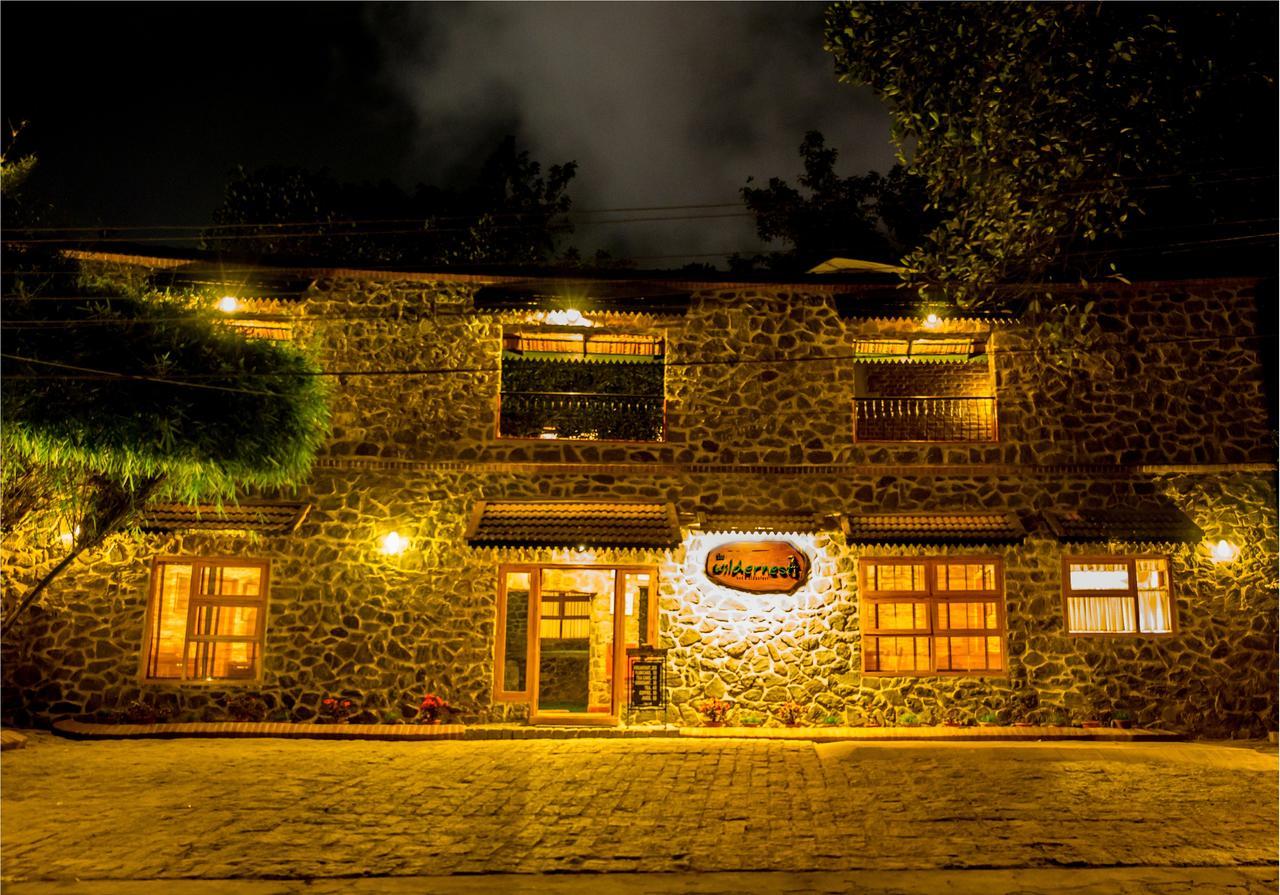 テッカディ Wildernest Bed & Breakfast エクステリア 写真