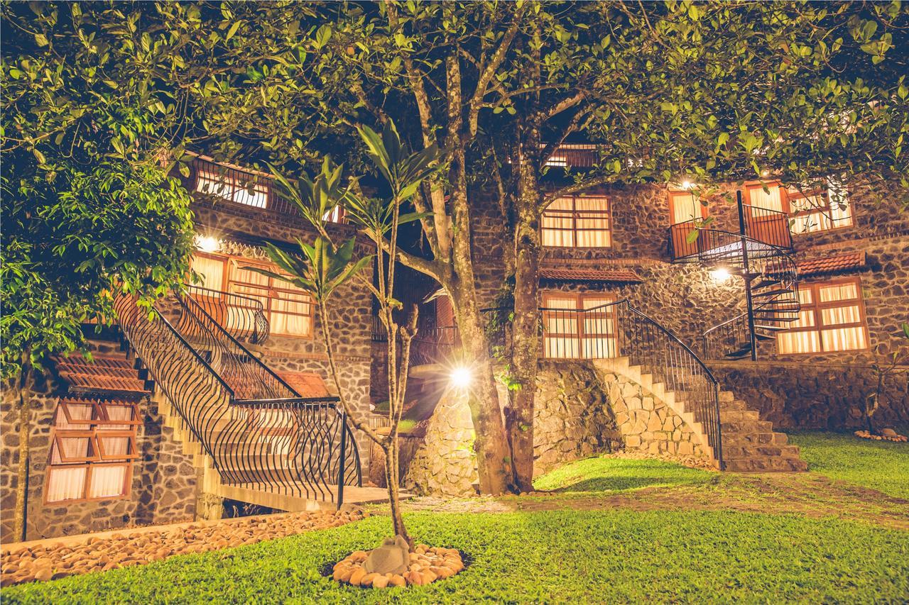 テッカディ Wildernest Bed & Breakfast エクステリア 写真