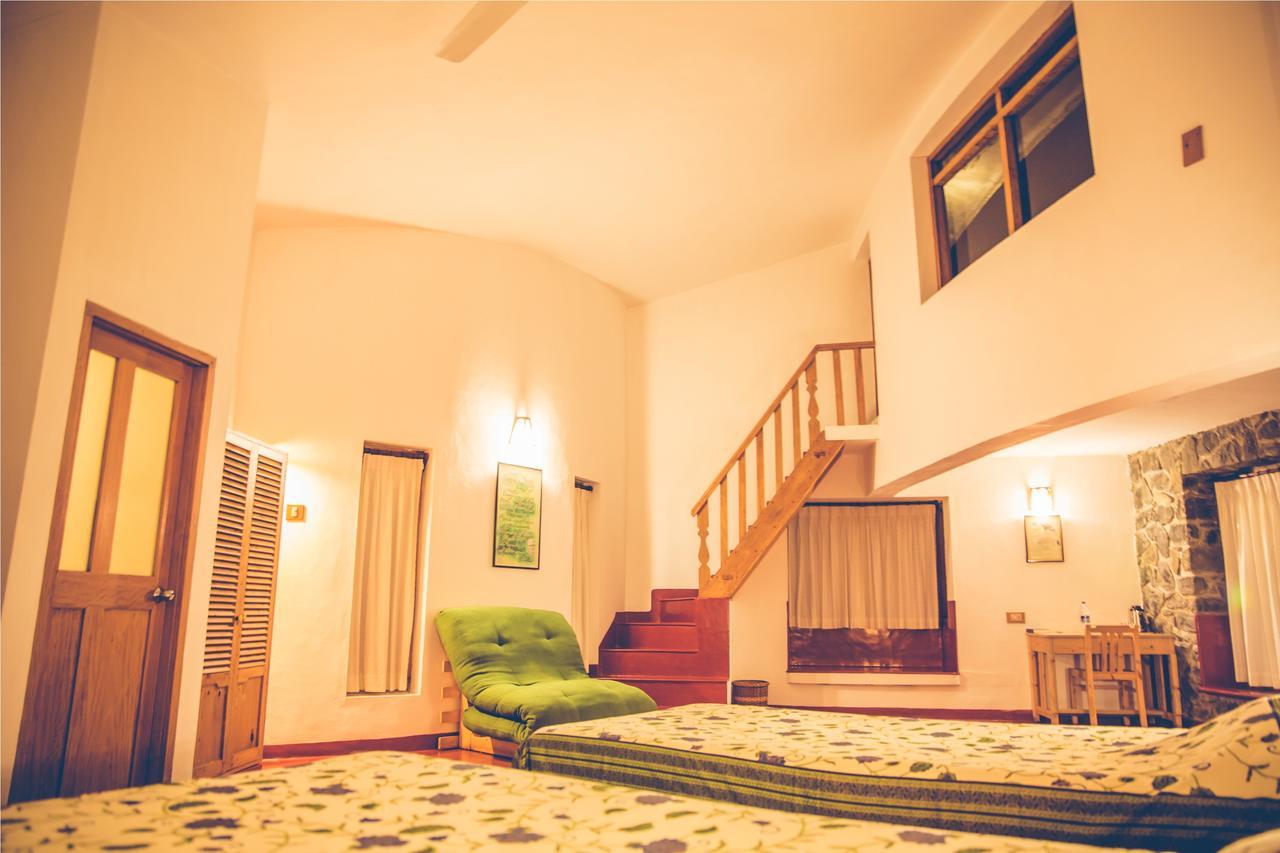 テッカディ Wildernest Bed & Breakfast エクステリア 写真