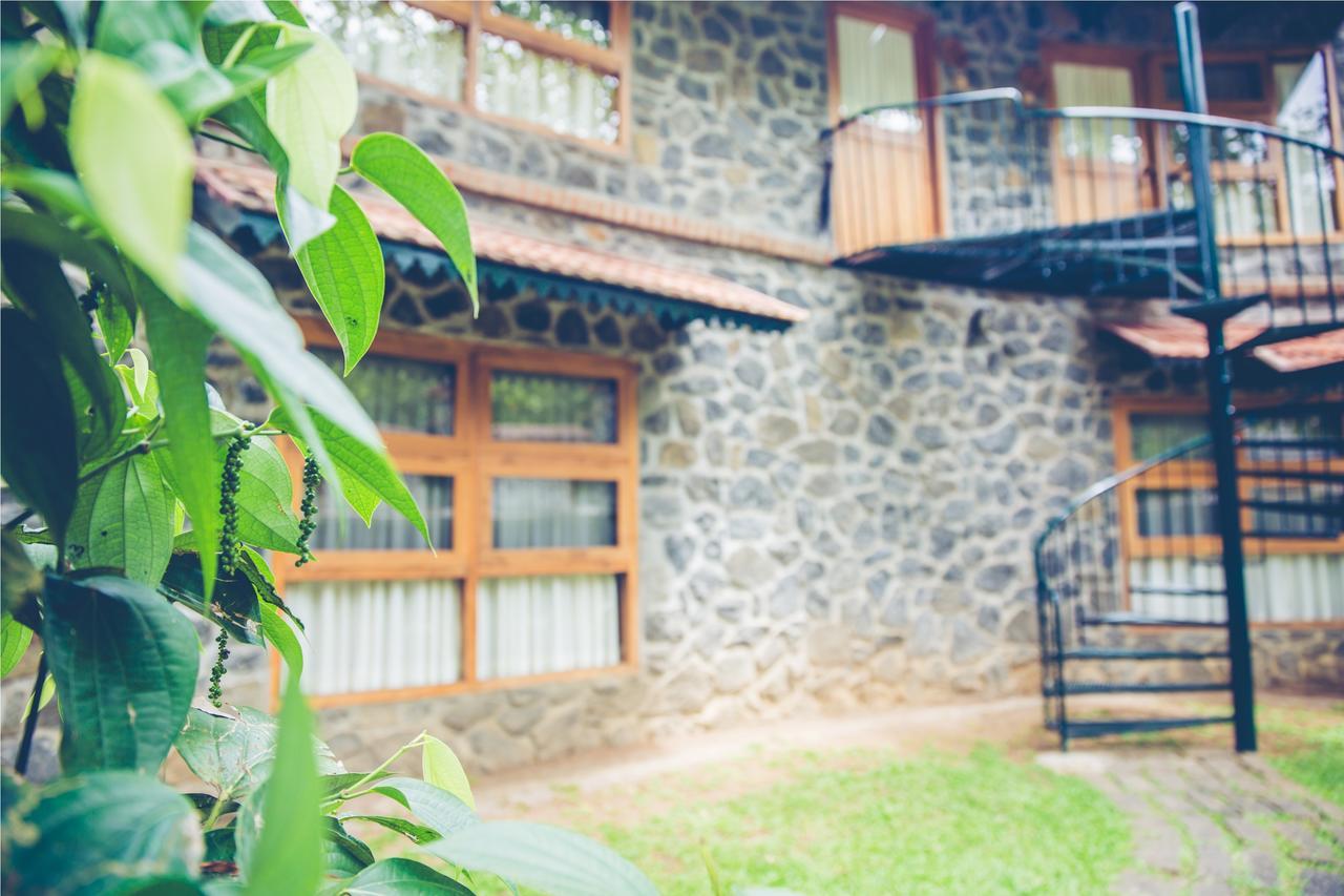 テッカディ Wildernest Bed & Breakfast エクステリア 写真