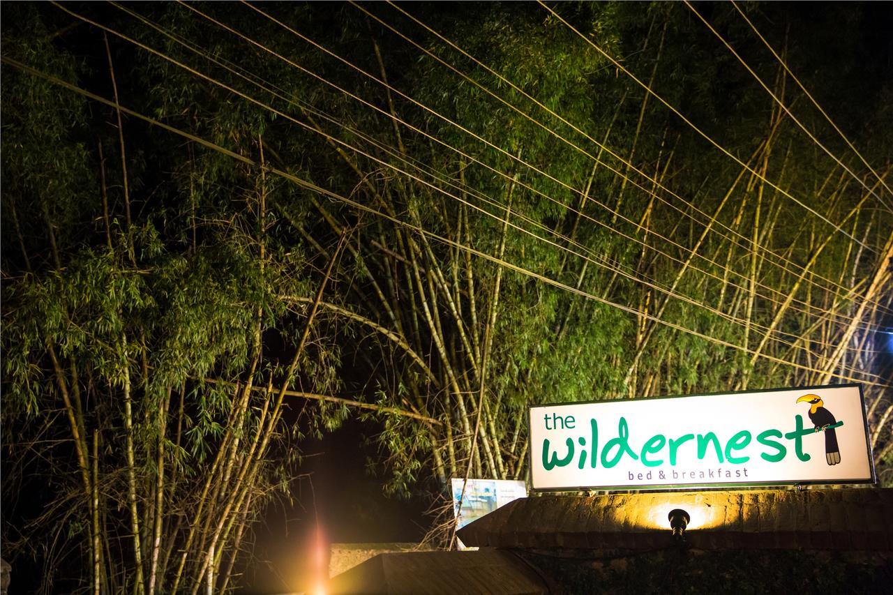 テッカディ Wildernest Bed & Breakfast エクステリア 写真