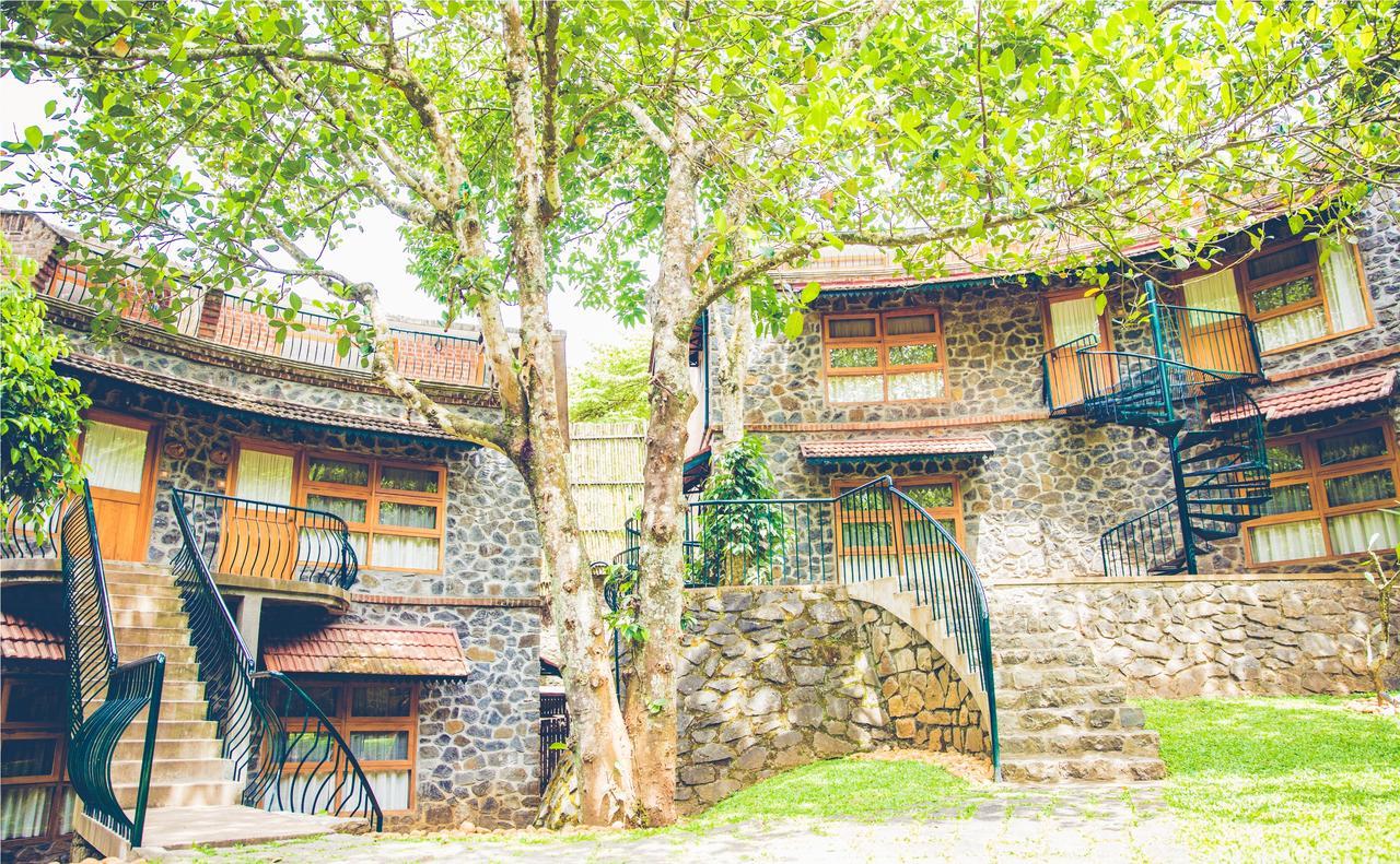 テッカディ Wildernest Bed & Breakfast エクステリア 写真