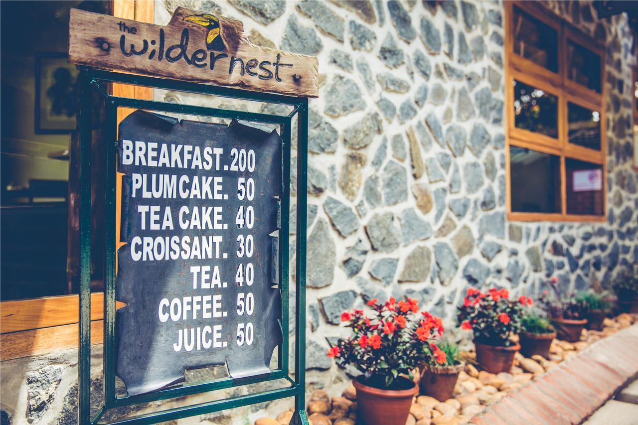テッカディ Wildernest Bed & Breakfast エクステリア 写真