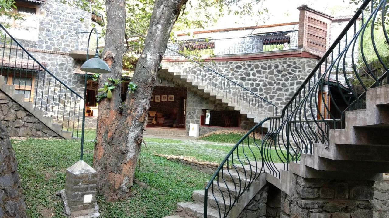 テッカディ Wildernest Bed & Breakfast エクステリア 写真