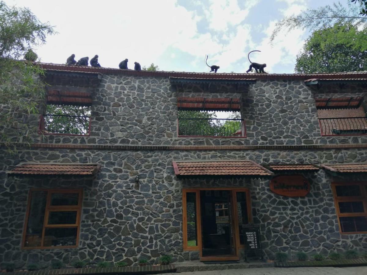 テッカディ Wildernest Bed & Breakfast エクステリア 写真
