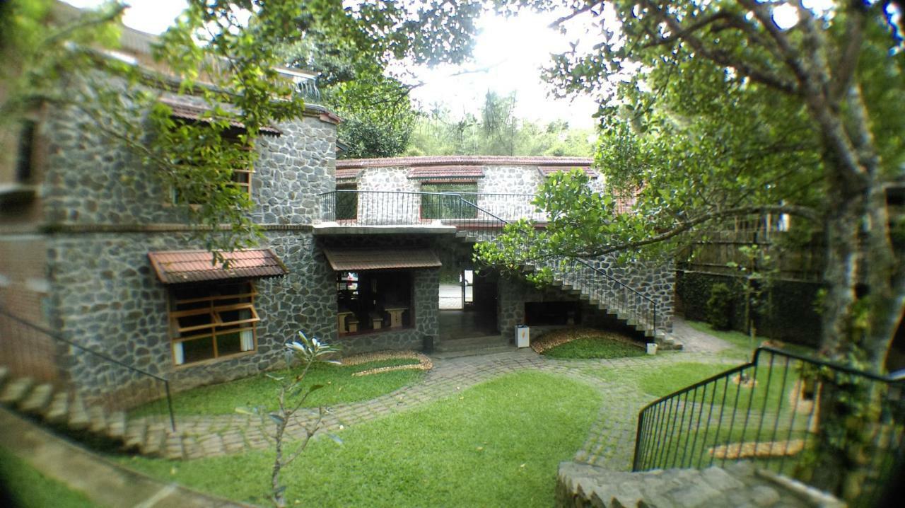 テッカディ Wildernest Bed & Breakfast エクステリア 写真