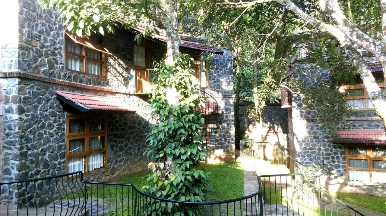テッカディ Wildernest Bed & Breakfast エクステリア 写真