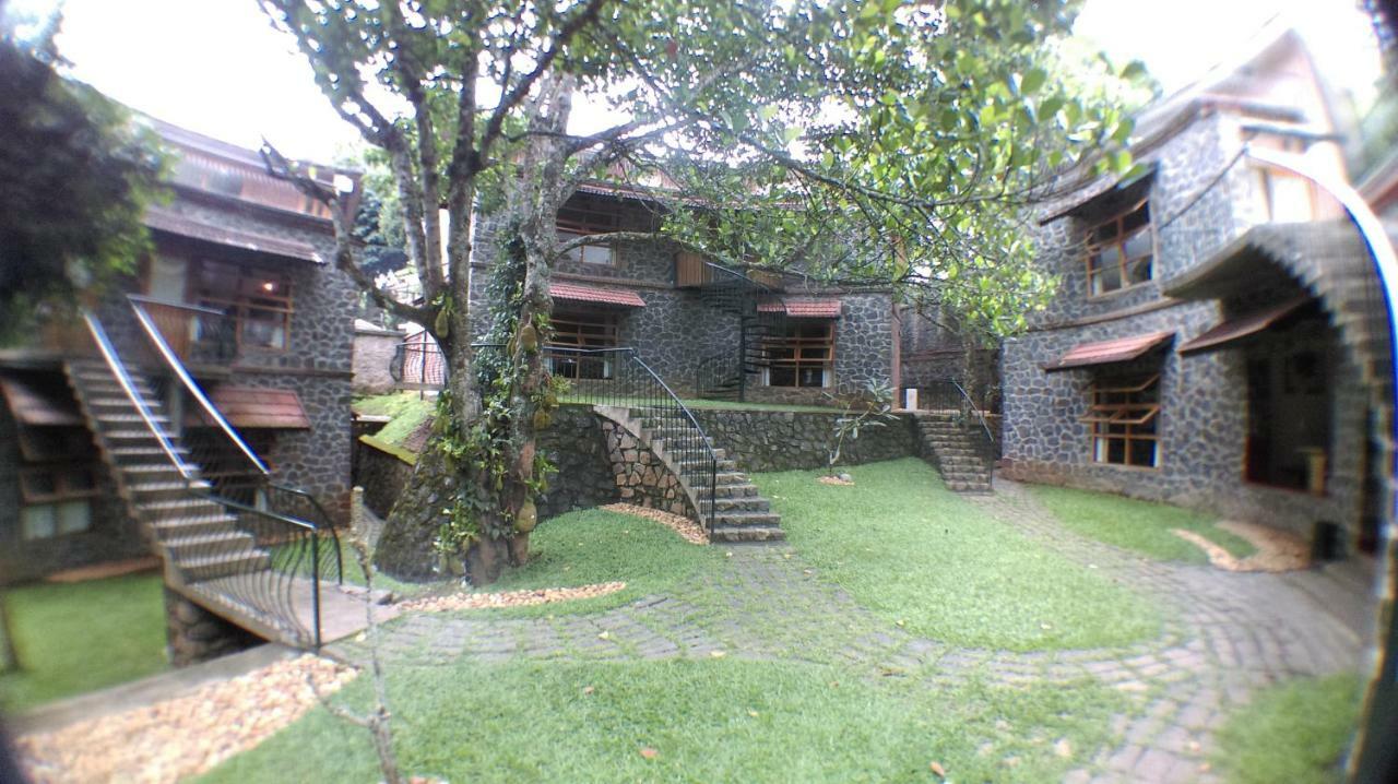 テッカディ Wildernest Bed & Breakfast エクステリア 写真