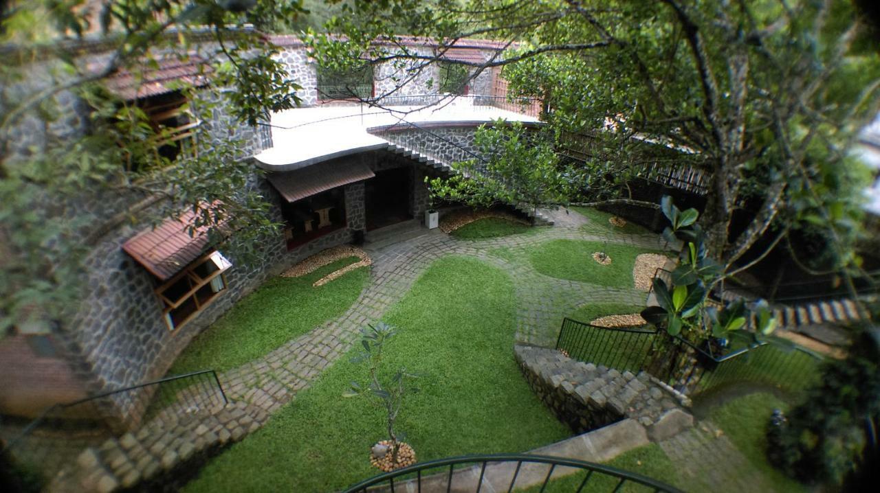 テッカディ Wildernest Bed & Breakfast エクステリア 写真