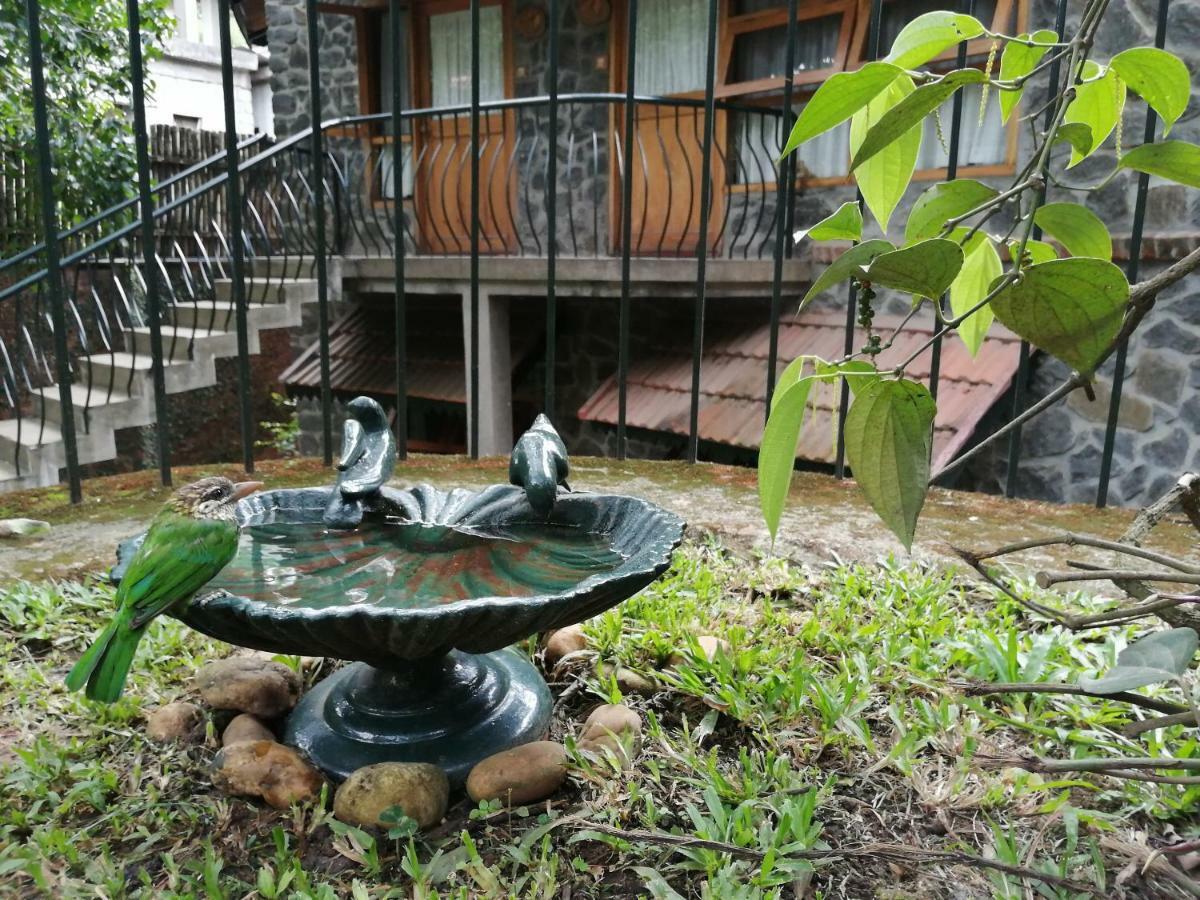 テッカディ Wildernest Bed & Breakfast エクステリア 写真