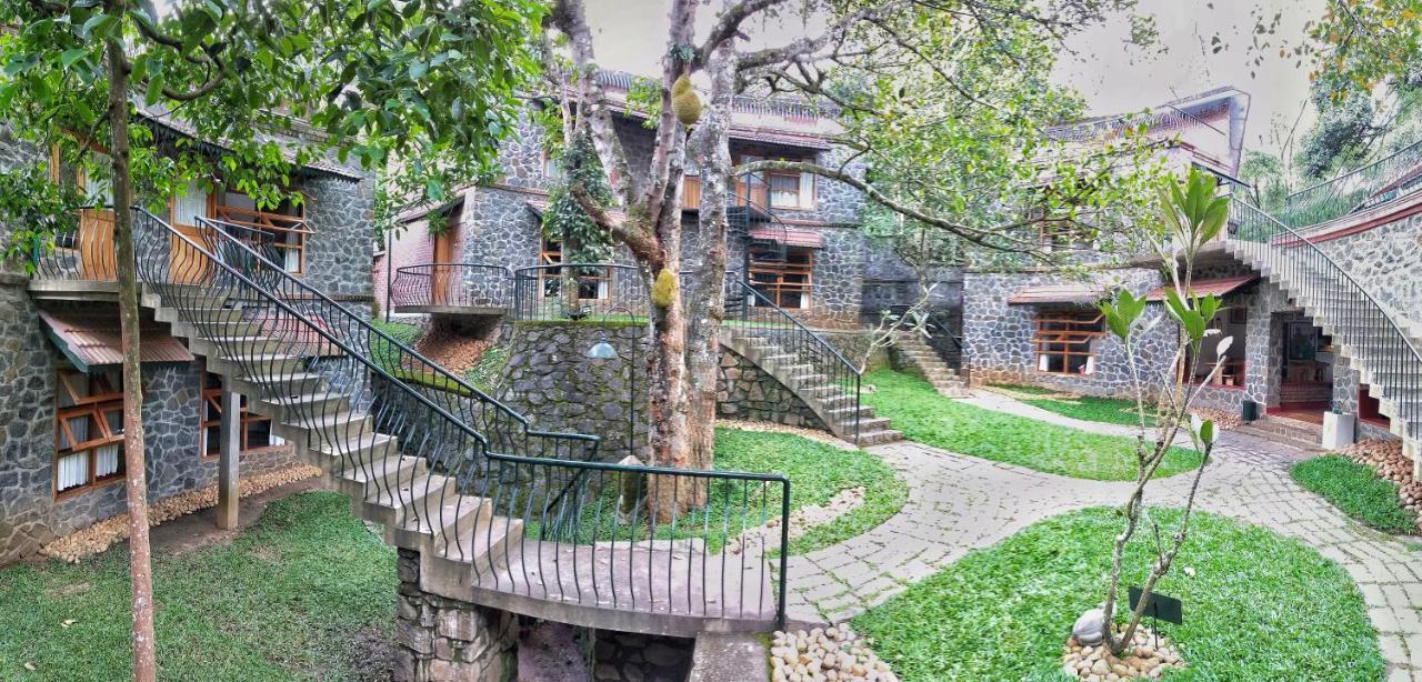 テッカディ Wildernest Bed & Breakfast エクステリア 写真