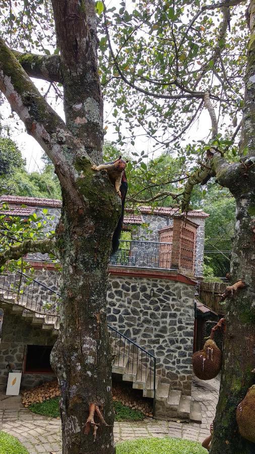 テッカディ Wildernest Bed & Breakfast エクステリア 写真